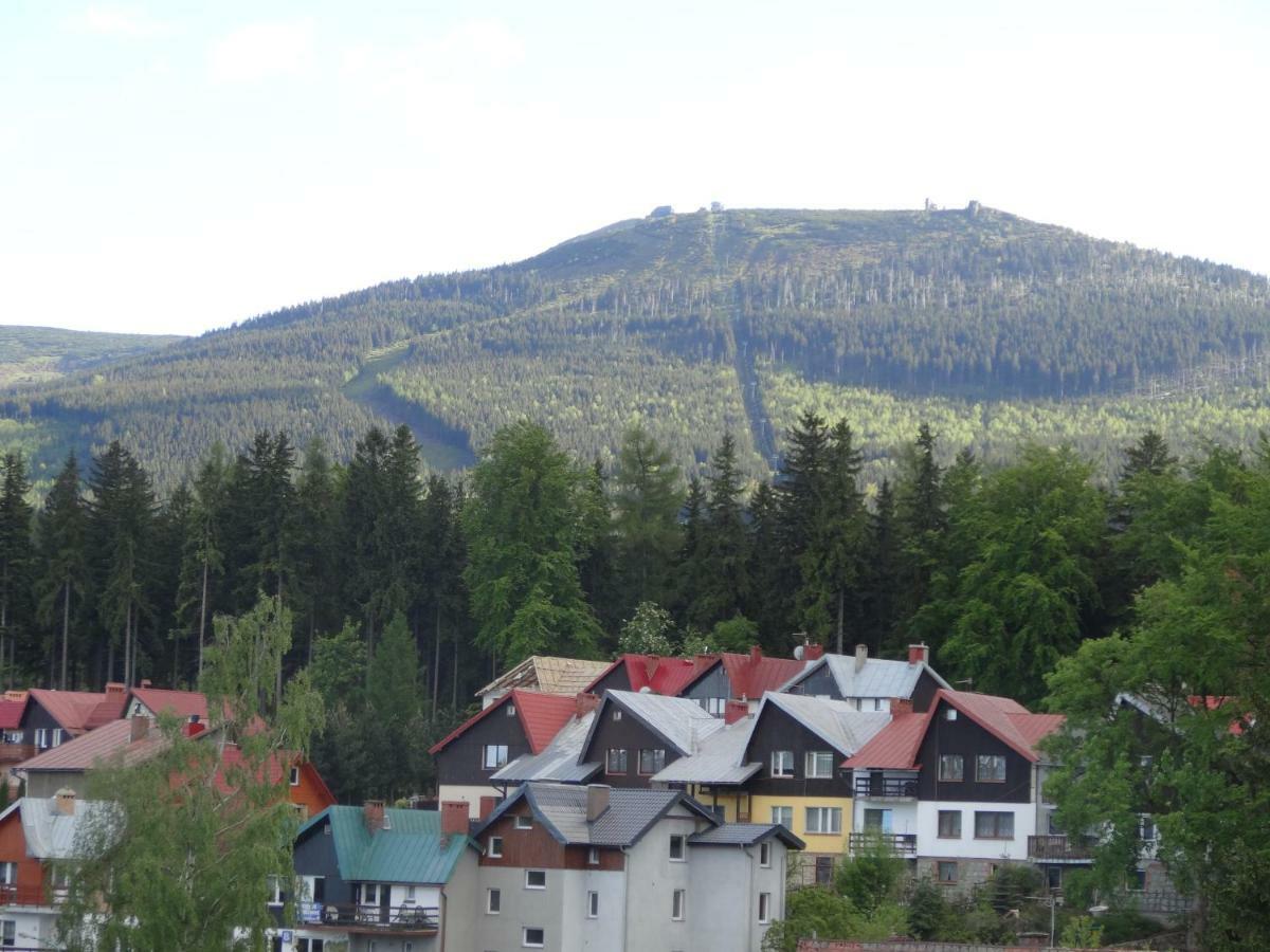 Homestay Goscinne Cykada